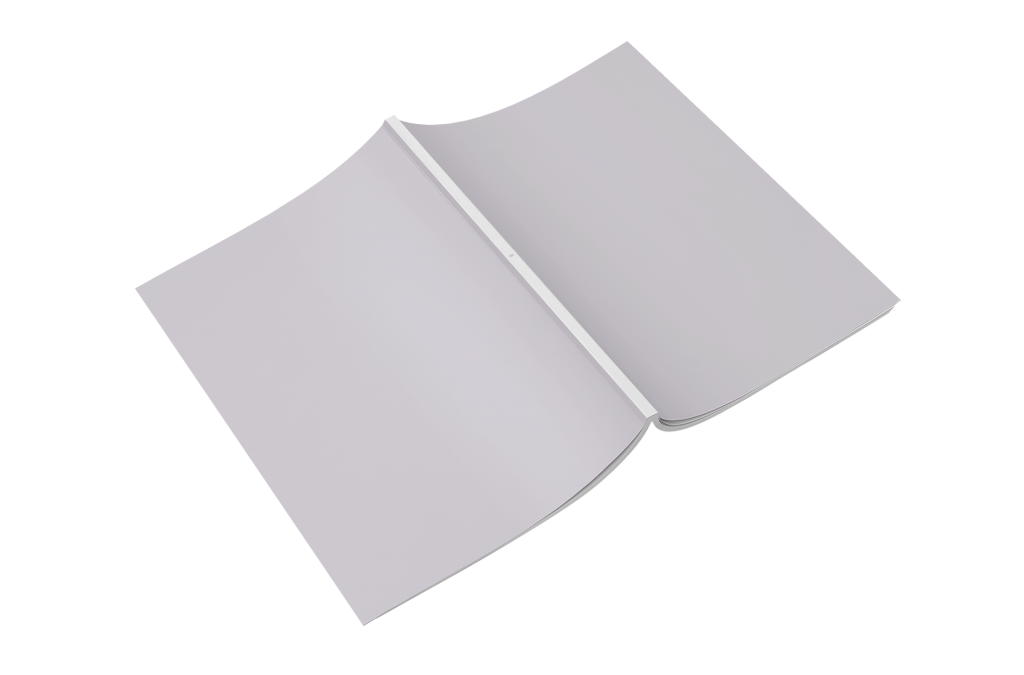 Stampa Cataloghi